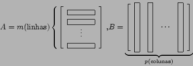 \begin{displaymath}A=m\mathrm{(linhas)}\left\{\left[\begin{array}{c}\fbox{\hspac...
...m}{2cm}}\end{array}\right]}_{{\normalsize p\mathrm{(colunas)}}}\end{displaymath}